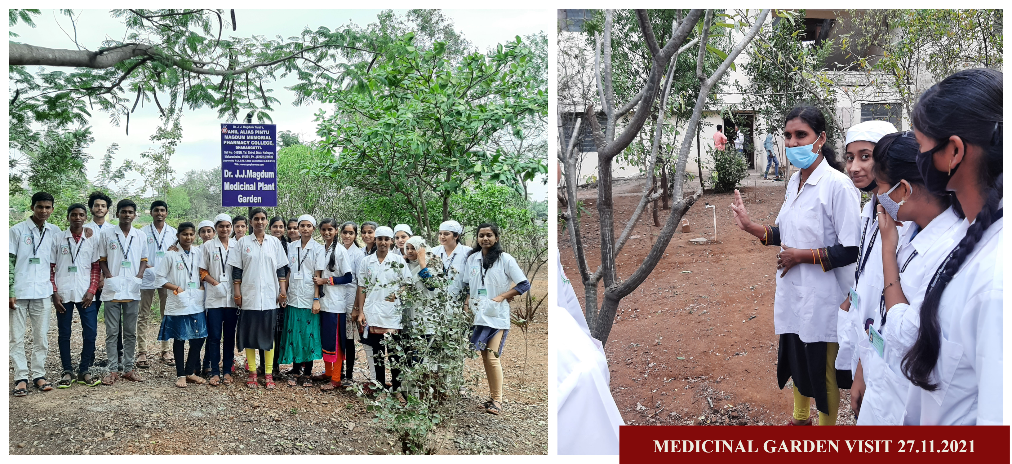 Medicinal Plant Garden Visit